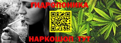 винт Краснодар