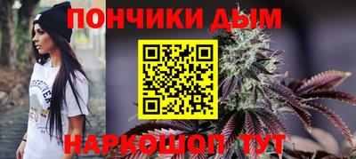крисы Краснознаменск